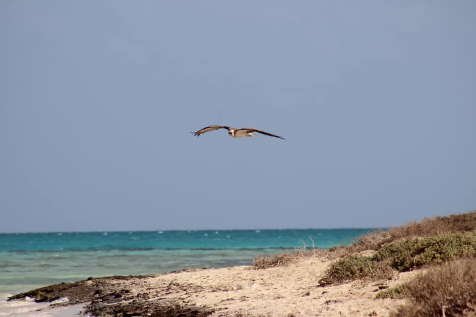 242097886_4688938157784246_8468616635749482742_n